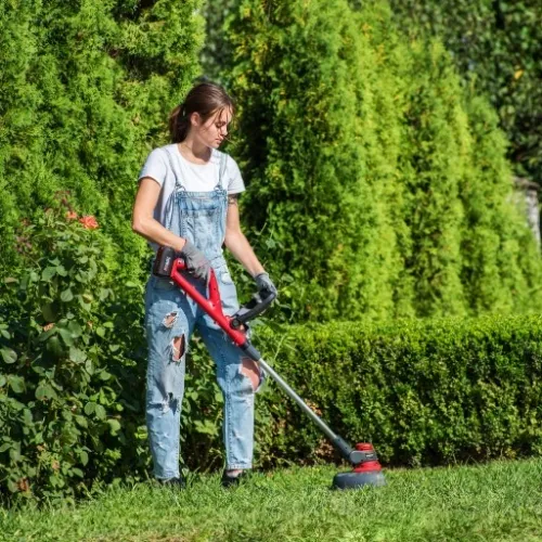 PODKASZARKA AKUMULATOROWA 20V KOSA BEZPRZEWODOWA KOSA + AKUMULATOR 2.0Ah na Arena.pl