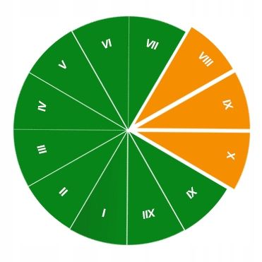 Nawóz do roślin iglastych iglaków tui granulat 4 kg jesień Florovit na Arena.pl
