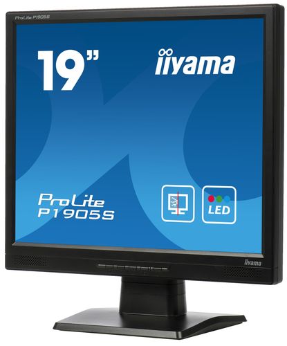 Monitor iiyama ProLite P1905S-B2 19" LED na Arena.pl
