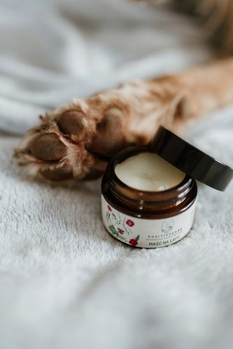 Naturalna maść na łapy dla psa na Arena.pl