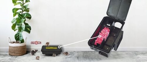 ULTRAMOCNA TRUTKA GRANULAT NA MYSZY I SZCZURY BROMADIOLON STRONG 1KG na Arena.pl