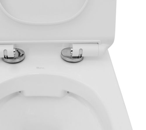 Misa WC Tomas na Arena.pl