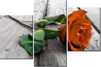 product-compare-58699440