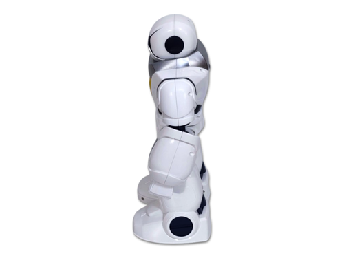 Interaktywny zdalnie sterowany Robot na Arena.pl