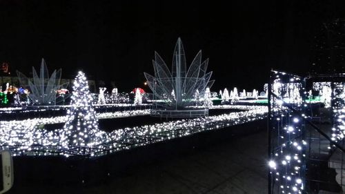 Lampki CHOINKOWE 500 LED ŚWIĄTECZNE BIAŁE ZIMNE ZEWNĘTRZNE WEWNĘTRZNE na Arena.pl