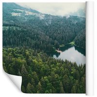Fototapeta 3D Las Jezioro Zieleń do Salonu 90x60