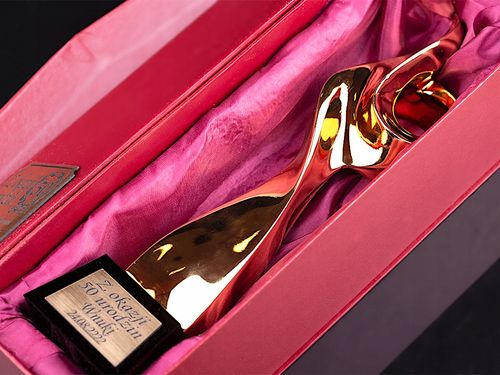 Spirala Statuetka Nagroda dla Klienta Szefa Dyplom na Arena.pl