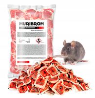 NAJMOCNIEJSZA TRUCIZNA TRUTKA NA SZCZURY MYSZY 1KG