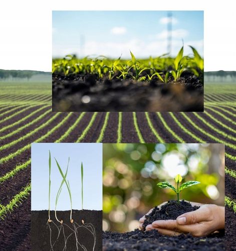 JESIENNY EKOLOGICZNY NAWÓZ UNIWERSALNY do ogrodów i sadów - 10kg na Arena.pl