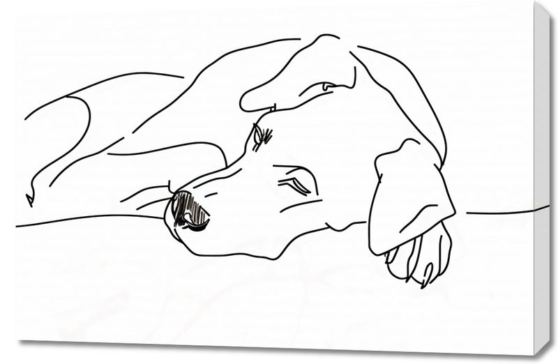 Obraz 90x60cm Wypoczynek Psiaka zdjęcie 1