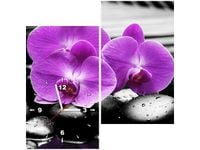 product-compare-58609716