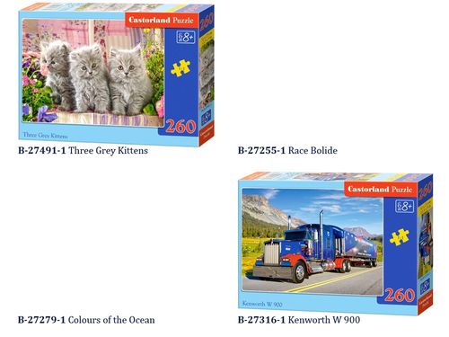 Castorland piękne Puzzle 260 elem. CLASSIC CA0009 na Arena.pl