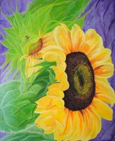 product-compare-44564768