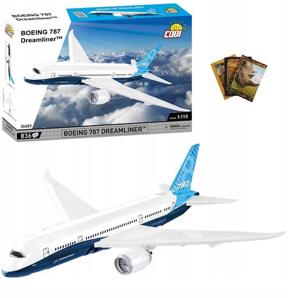 Boeing 787 Dreamliner COBI zdjęcie 1