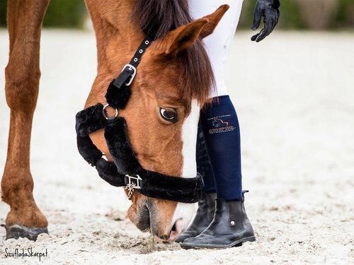 Wygodne skarpetki dziecięce do jazdy konno na lato z mikrofibry od Comodo na Arena.pl