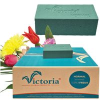 GĄBKA FLORYSTYCZNA VICTORIA MOKRA KWIATY ŻYWE KARTON STROIK OZDOBA 20 SZT