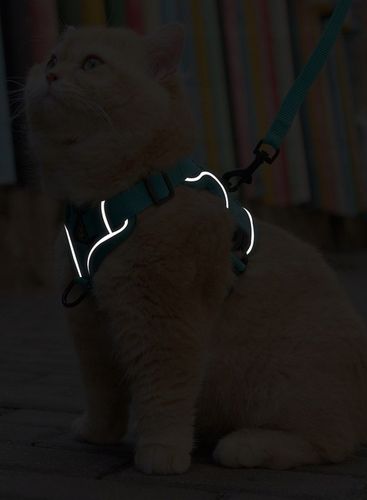 SZELKI BEZUCISKOWE TYPU GUARD + SMYCZ dla KOTA PSA na Arena.pl