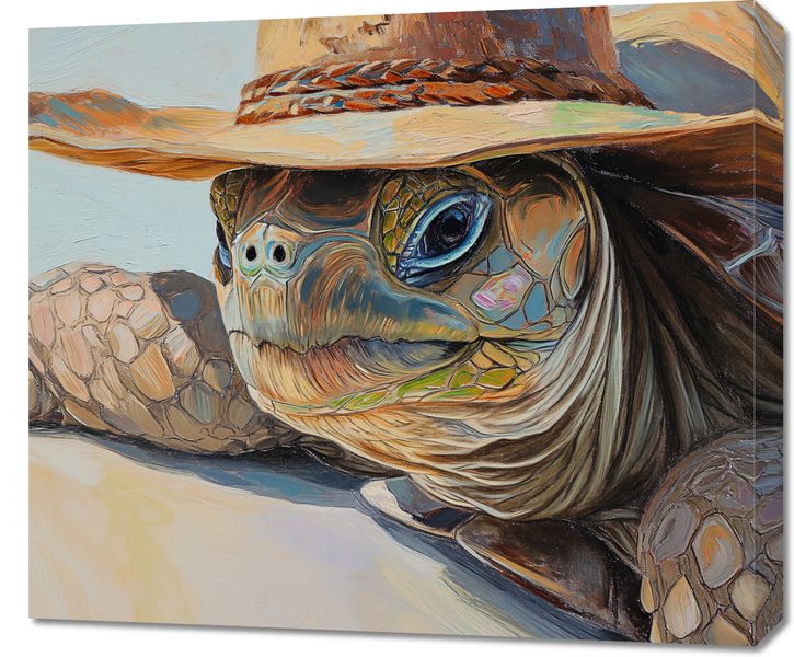 Obraz 70x60cm Żółwi Kapelusznik zdjęcie 1