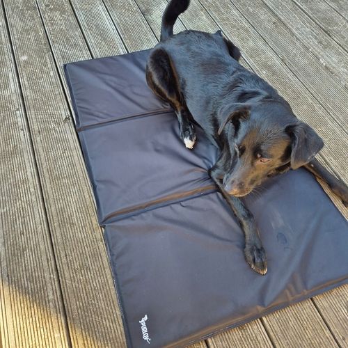 Mata Chłodząca dla Psa Kota Zwierząt Żelowa Składana Legowisko XXL 110x70cm na Arena.pl