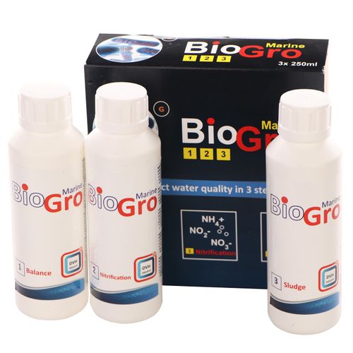 DVH BioGro 3x250ml - bakterie na Arena.pl