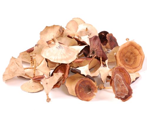 Golden mushroom 50g na Arena.pl