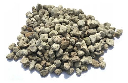 ZESTAW DO UPRAWY EUKALIPTUS SREBRNY DRZEWKO BONSAI NASIONA 5 SZT WIELOLETNI na Arena.pl