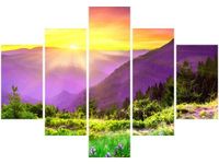 70 100CM OBRAZ 5 ELEM KWIECISTA ŁĄKA DRUK PŁÓTNO