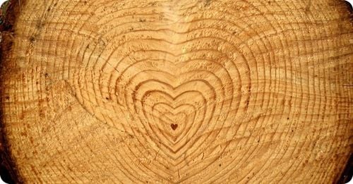 KUPRAFUNG P impregnat do drewna BRĄZOWY 1:13=130L na Arena.pl