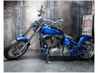 40X50CM CHROMOWANY MOTOCYKL OBRAZ