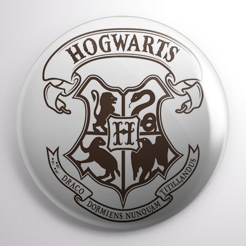 Przypinka Harry Potter na Arena.pl