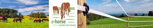 TAŚMA DO OGRODZEŃ ELEKT.POMARAŃCZ 10MM 200M BASIC na Arena.pl