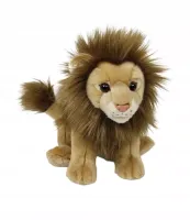 product-compare-61981708