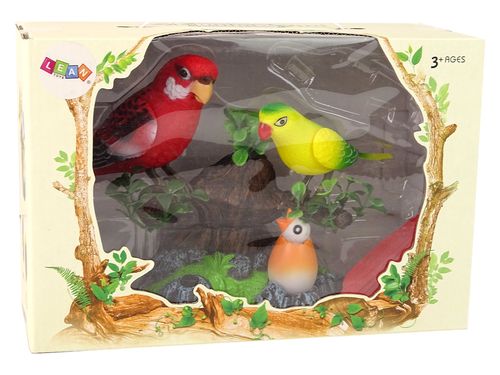 Śpiewające Ruchome Papużki Drzewo Kolorowe na Arena.pl