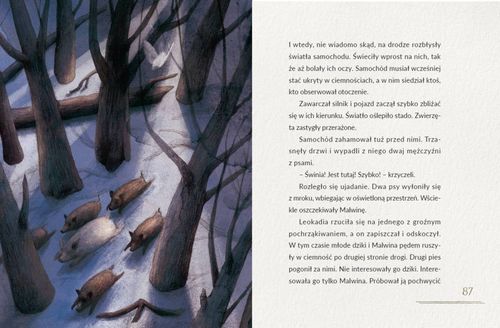 Świnia Malwina na Arena.pl