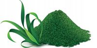 POKUSA Spirulina dla KOTA i PSA 250g