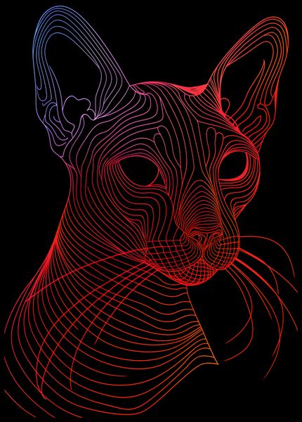 Plakat 67,5x95cm Cyfrowa Kocica zdjęcie 2