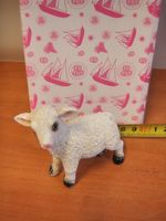 baranek 6szt. |  SWB-15093