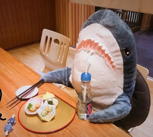 blahaj Duży rekin pluszak 100 cm Przytulanka na Arena.pl