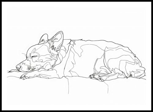 Plakat 84x59,5cm Śpiący Psiak na Arena.pl