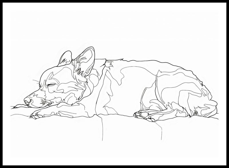 Plakat 84x59,5cm Śpiący Psiak zdjęcie 3