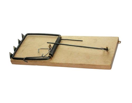 pułapka na szczury drewniana+rabat na Arena.pl