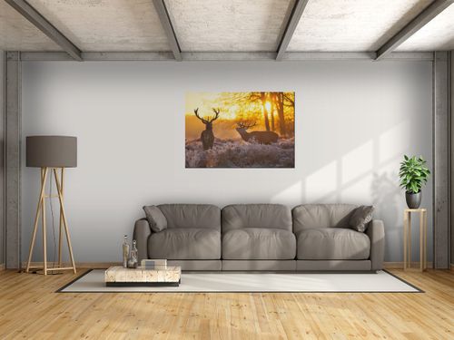Obraz Jelenie 100x70 na Arena.pl