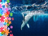 Puzzle tradycyjne Zwierzęta - Wieloryb