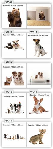 NAKLEJKA naklejki zwierzęta 120 cm koń psy koty na Arena.pl