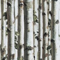 TAPETA DRZEWA BRZOZY LIŚCIE WINYLOWA NA FLIZELINIE
