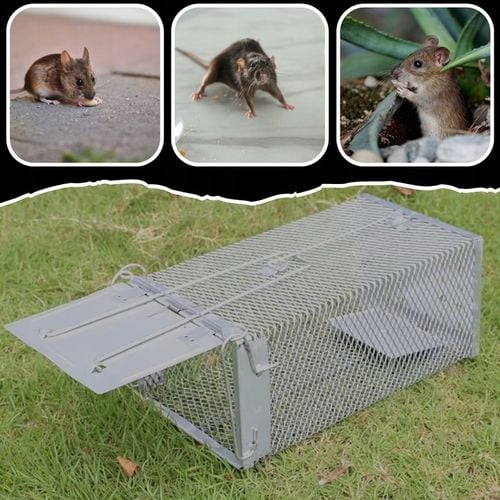 PUŁAPKA ŻYWOŁAPKA NA SZCZURY MYSZY GRYZONIE KUNY ŁAPKA DO ŁAPANIA na Arena.pl