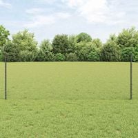 Ogrodzenie z słupkiem Szary 0,8 x 25 m Stal