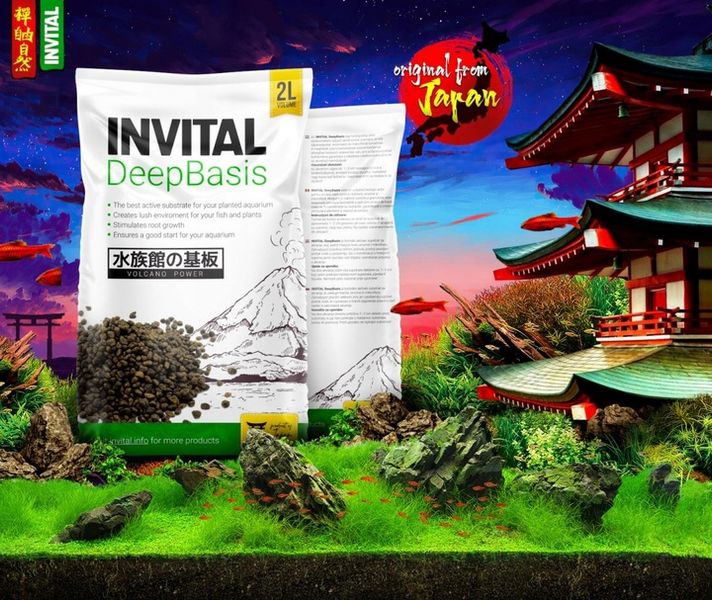 INVITAL DeepBasis 2l podłoże odżywcze pod żwir zdjęcie 2