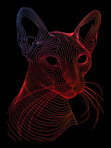 Plakat 13x18cm Cyfrowa Kocica na Arena.pl