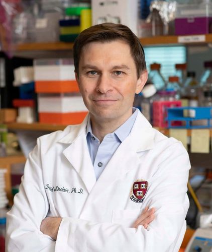 Proton Labs NMN 100% + Resveratrol 99% w kapsułkach RESWERATROL 60 na Arena.pl